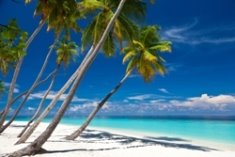 شواطئ البحر الكاريبي