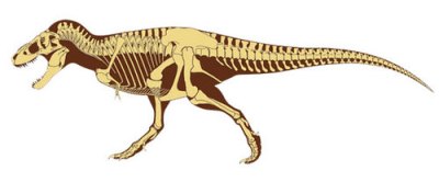 تيرانوصور
