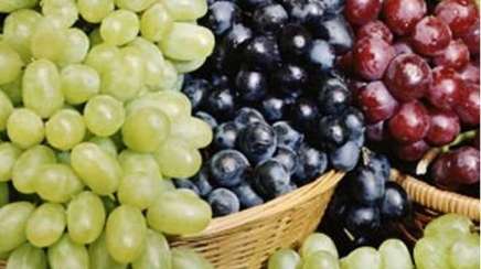 فوائد العنب