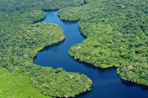 غابات الأمازون