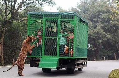 حدائق الحيوان - الصين