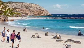 جزر استراليا