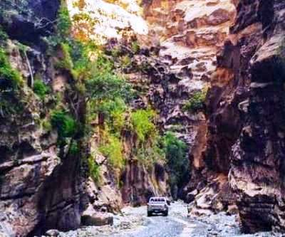 وادي الأشجار المعلقة